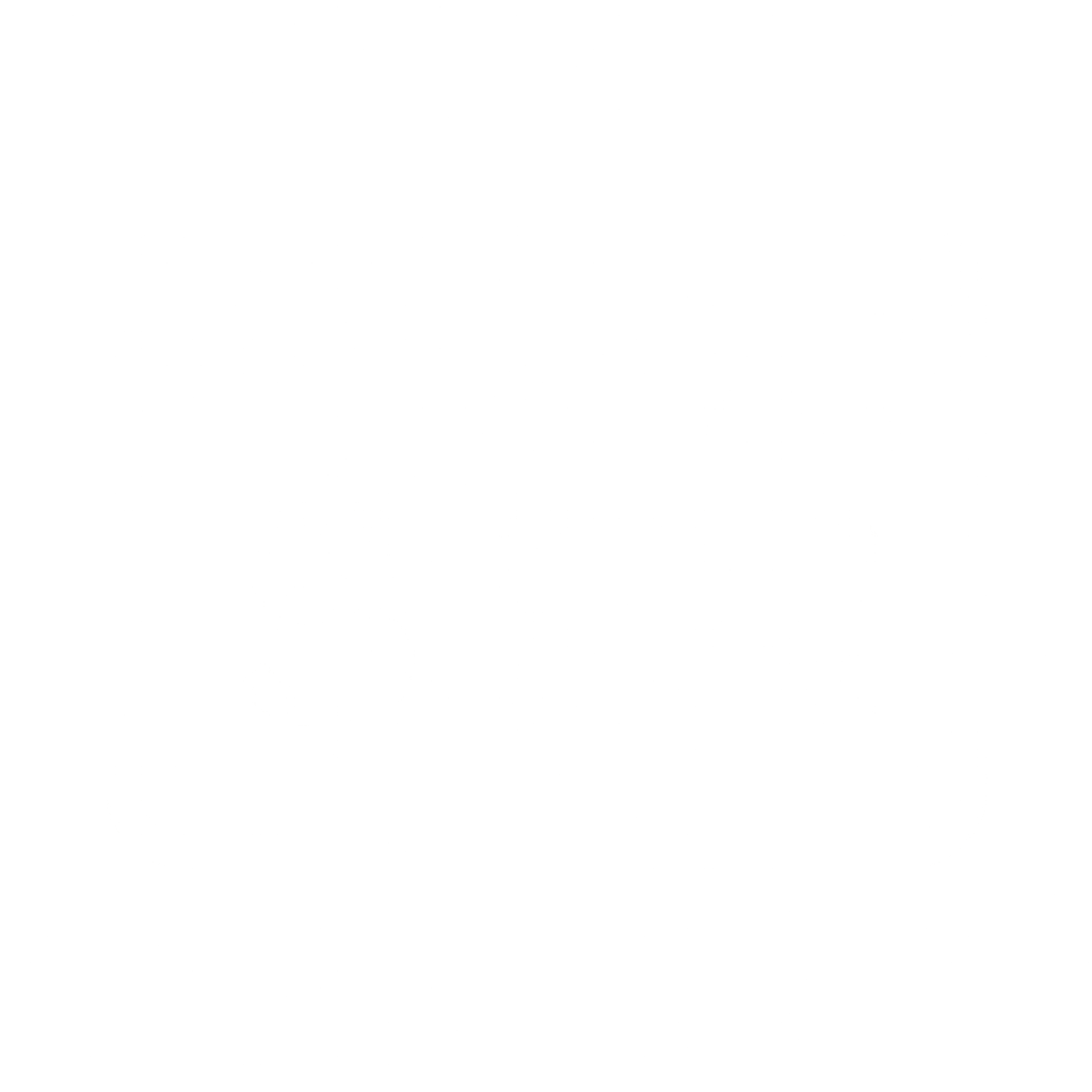 Paysafecard icon